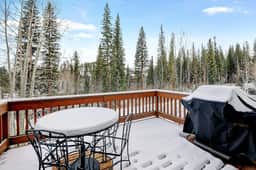 Timber Lake Villa 491