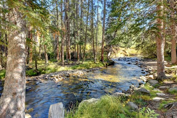 Slopeside River Front Condo 15 - Image 5